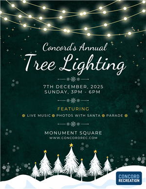 Tree Lighting 2025
