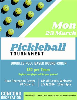 Pickleball Tournament Flyer