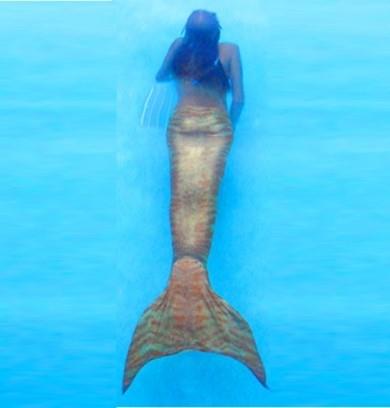 Mermaid Swim 
